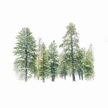 Load image into Gallery viewer, Winter Storm