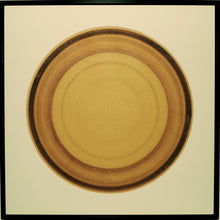Load image into Gallery viewer, Static Disc #5