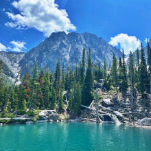 Load image into Gallery viewer, Enchanted