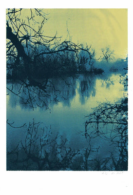 Sensation (Gold edition)