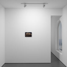 Load image into Gallery viewer, Sedlec III