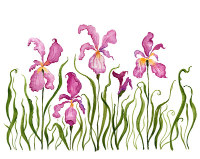 Sweet Spring