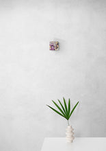 Load image into Gallery viewer, Royalforest and Stack