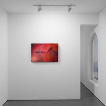 Load image into Gallery viewer, Daydream