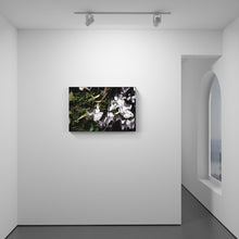 Load image into Gallery viewer, Orbis Terram III