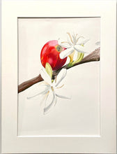 Load image into Gallery viewer, Coffee