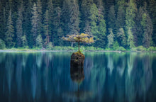Load image into Gallery viewer, Fairy Lake