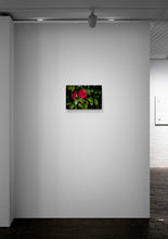 Load image into Gallery viewer, Bashful