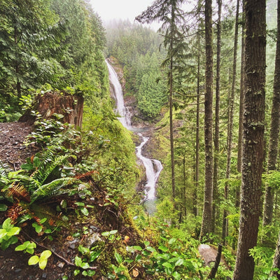 Chasing Waterfalls