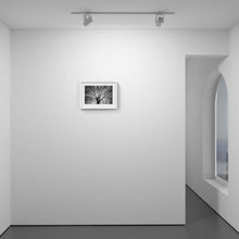 Load image into Gallery viewer, Takeover