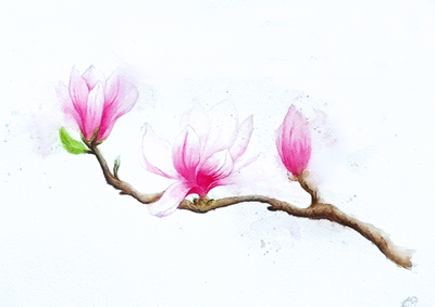 Bloom (In Spring)