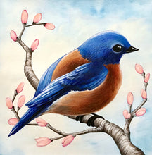 Load image into Gallery viewer, Bluebird