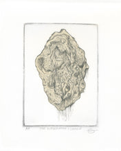 Load image into Gallery viewer, The information I contain