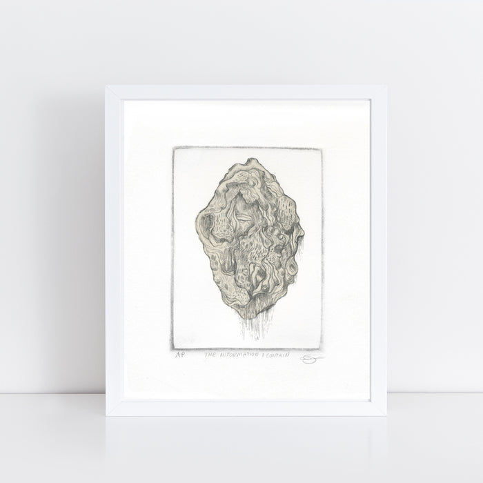 The information I contain