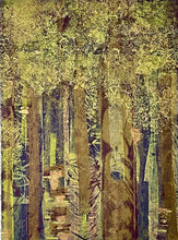 Load image into Gallery viewer, GREEN TO GOLD