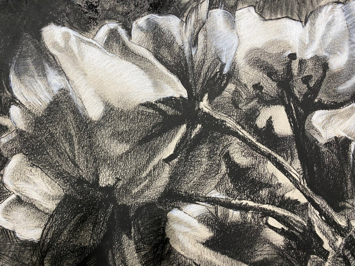 The ancient blossoms flurry down whispering