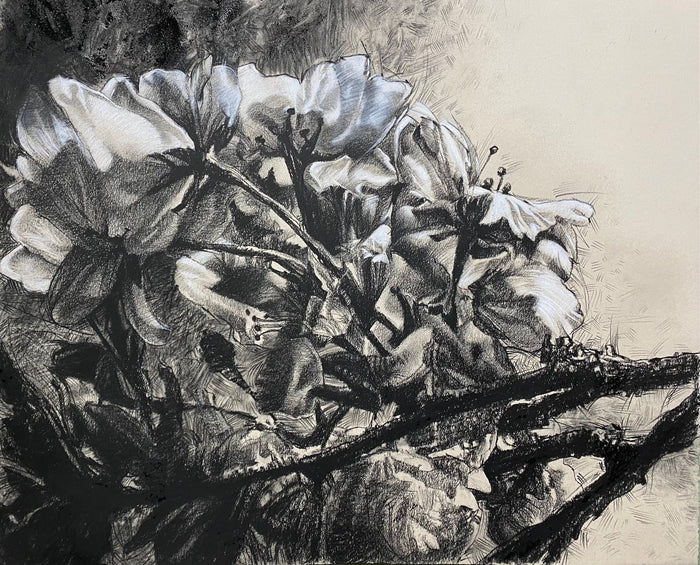 The ancient blossoms flurry down whispering