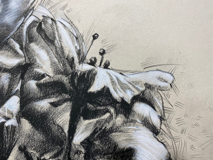 The ancient blossoms flurry down whispering