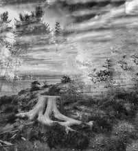 Load image into Gallery viewer, Another Place: You can find me in the ocean past the trees.