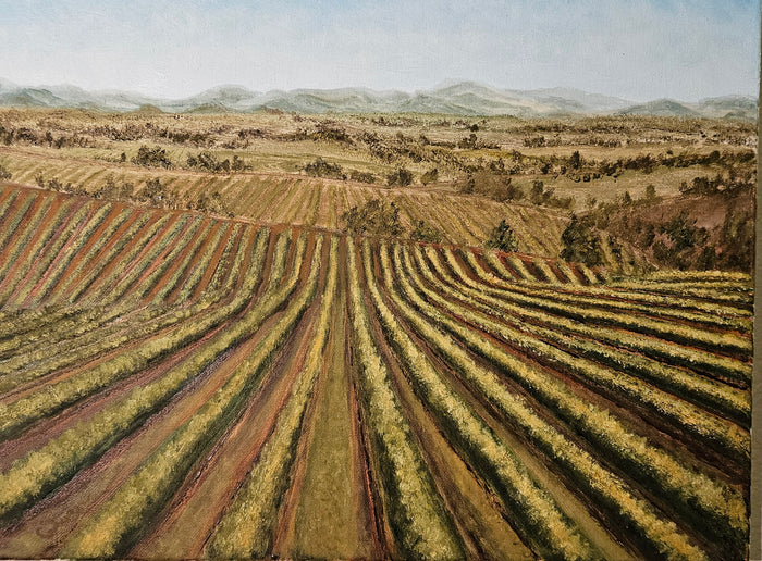 Tuscany Farmlands