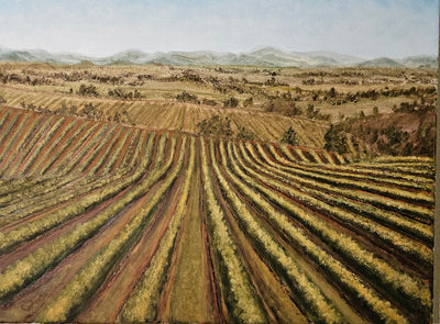 Tuscany Farmlands