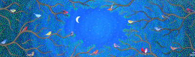 12 x 40 Star Gazing