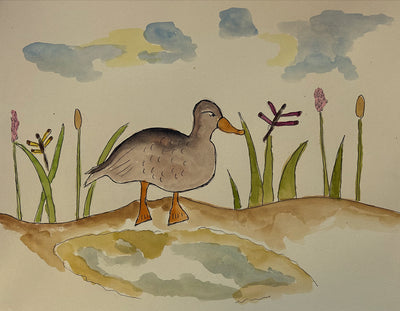 Wetland Magic