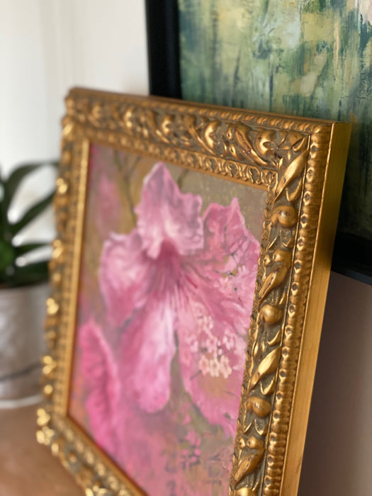 The soft summer morning drapes the blossoms in quiet, sensual light