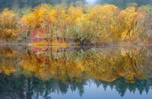 Autumn Reflections, MuKai Pond #5