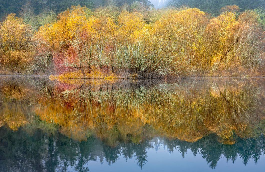 Autumn Reflections, MuKai Pond #5