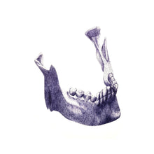 Load image into Gallery viewer, Jawbone
