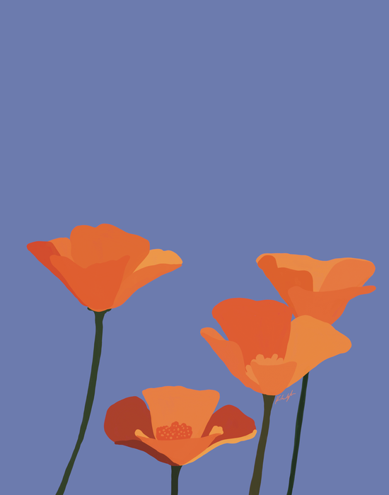 Orange Poppies