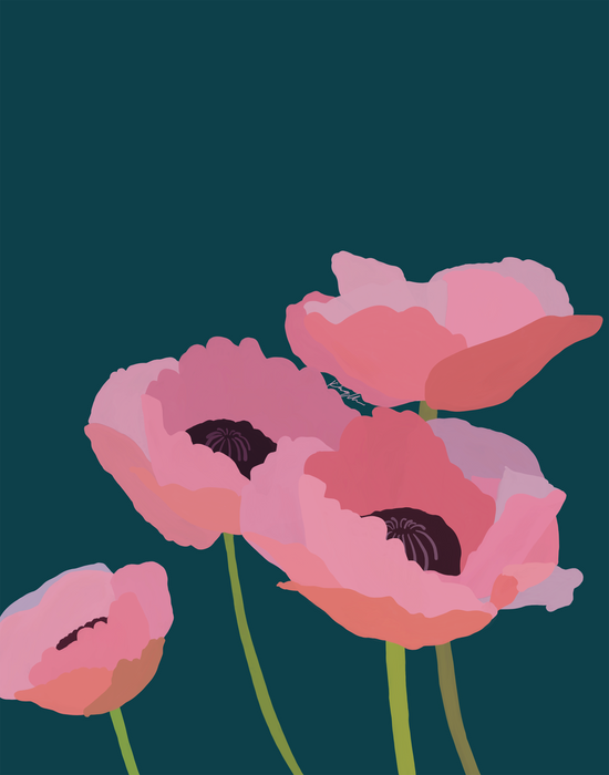 Pink Poppies