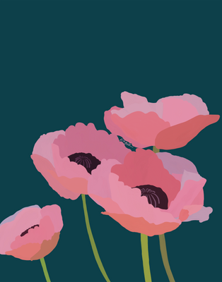 Pink Poppies