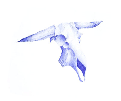 Ram Skull 1