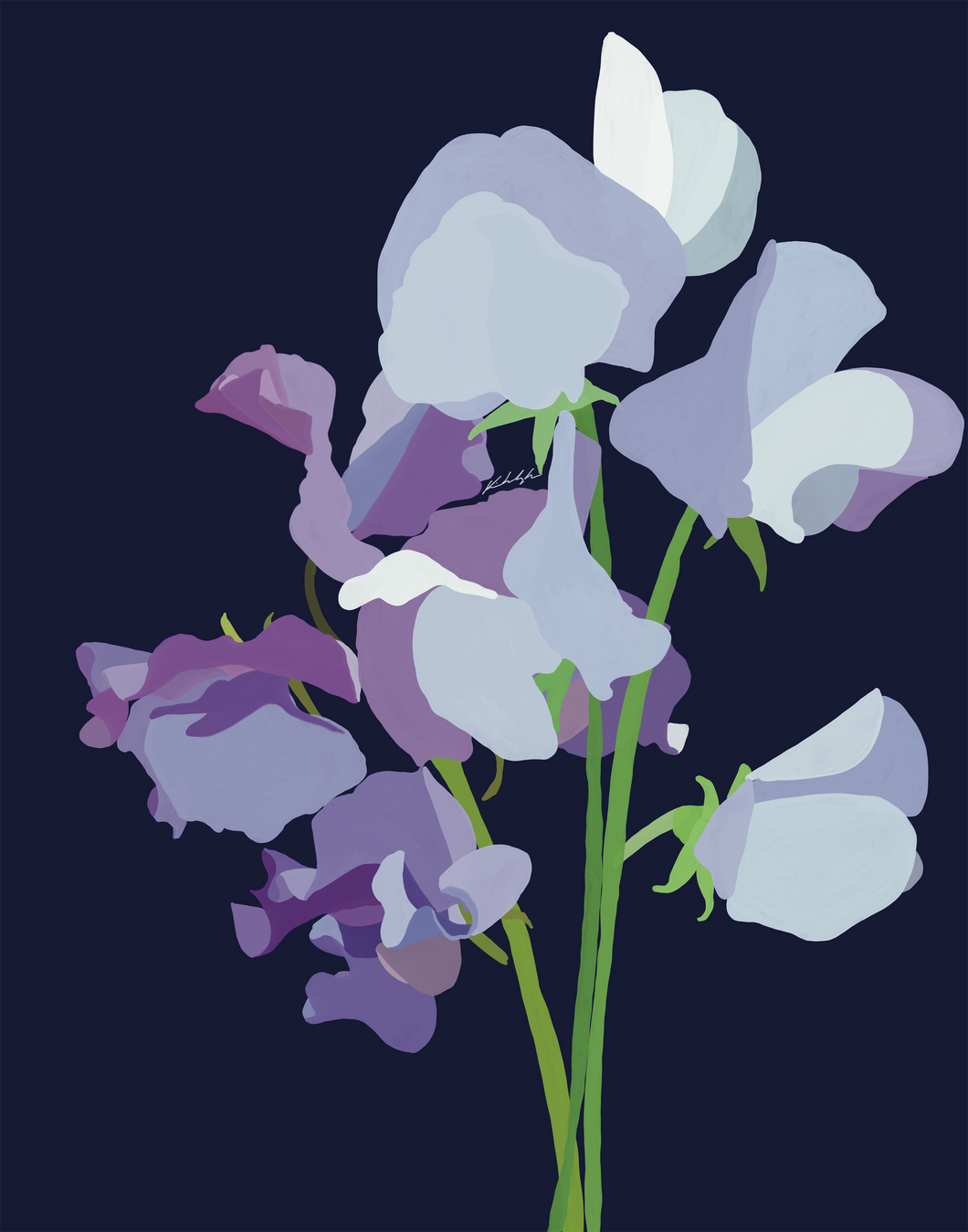 77_sweet_peas_2600px wide_72dpi-1763497765929.png