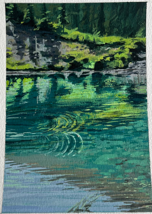 Alpine pond in August