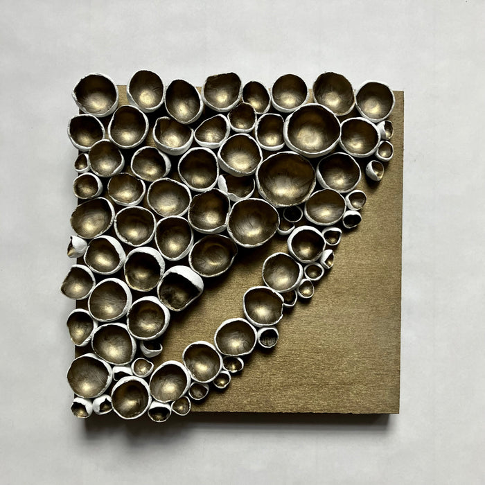 Barnacle Bloom No. 3