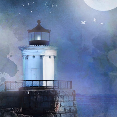 Bug Light: Beacon in Moonlight