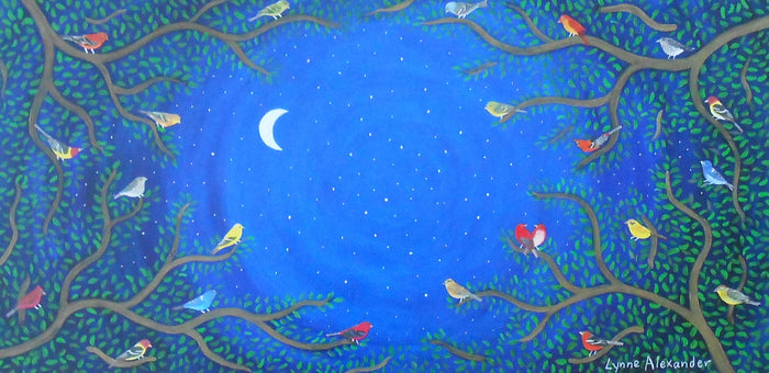 Star Gazing #6