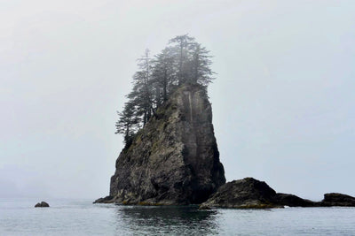 PNW Sea Stack