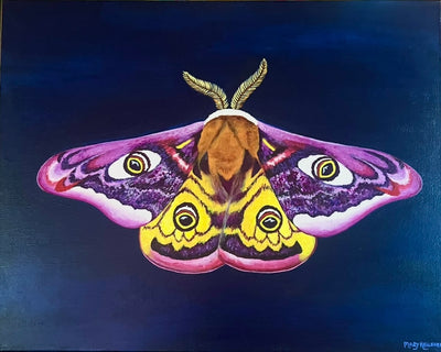 Emperor Moth