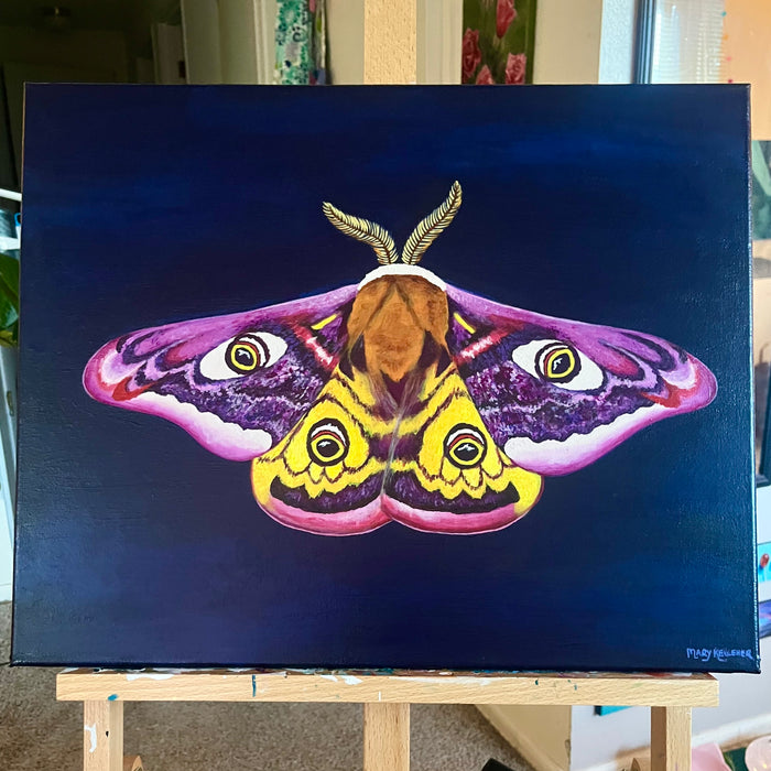 Emperor Moth