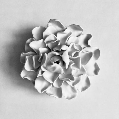 Succulent No. 1