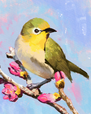 Spring