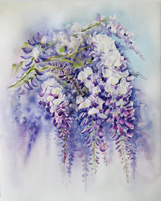 Wisteria #2
