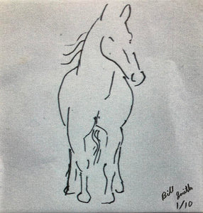 Horses 7