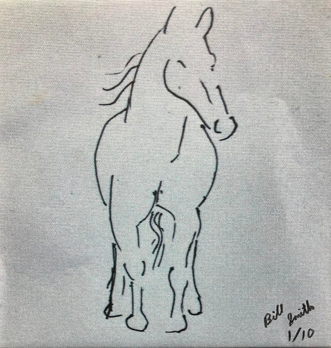 Horses 7