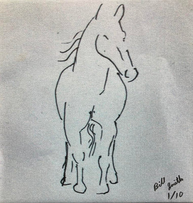 Horses 7
