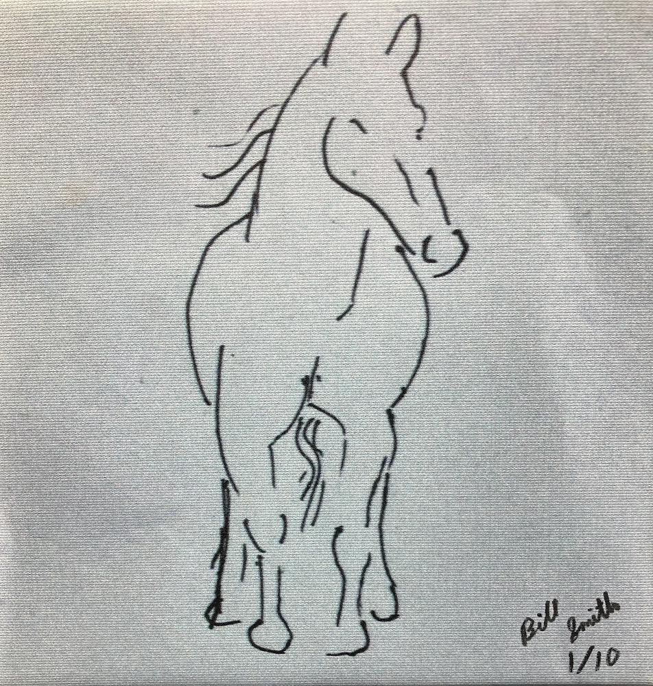 Horses 7